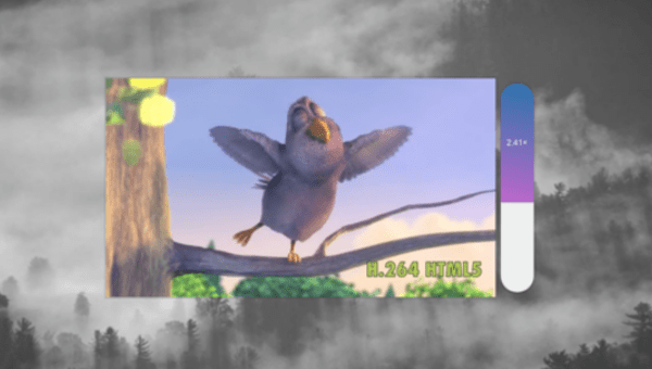 Video Speed Controller UI